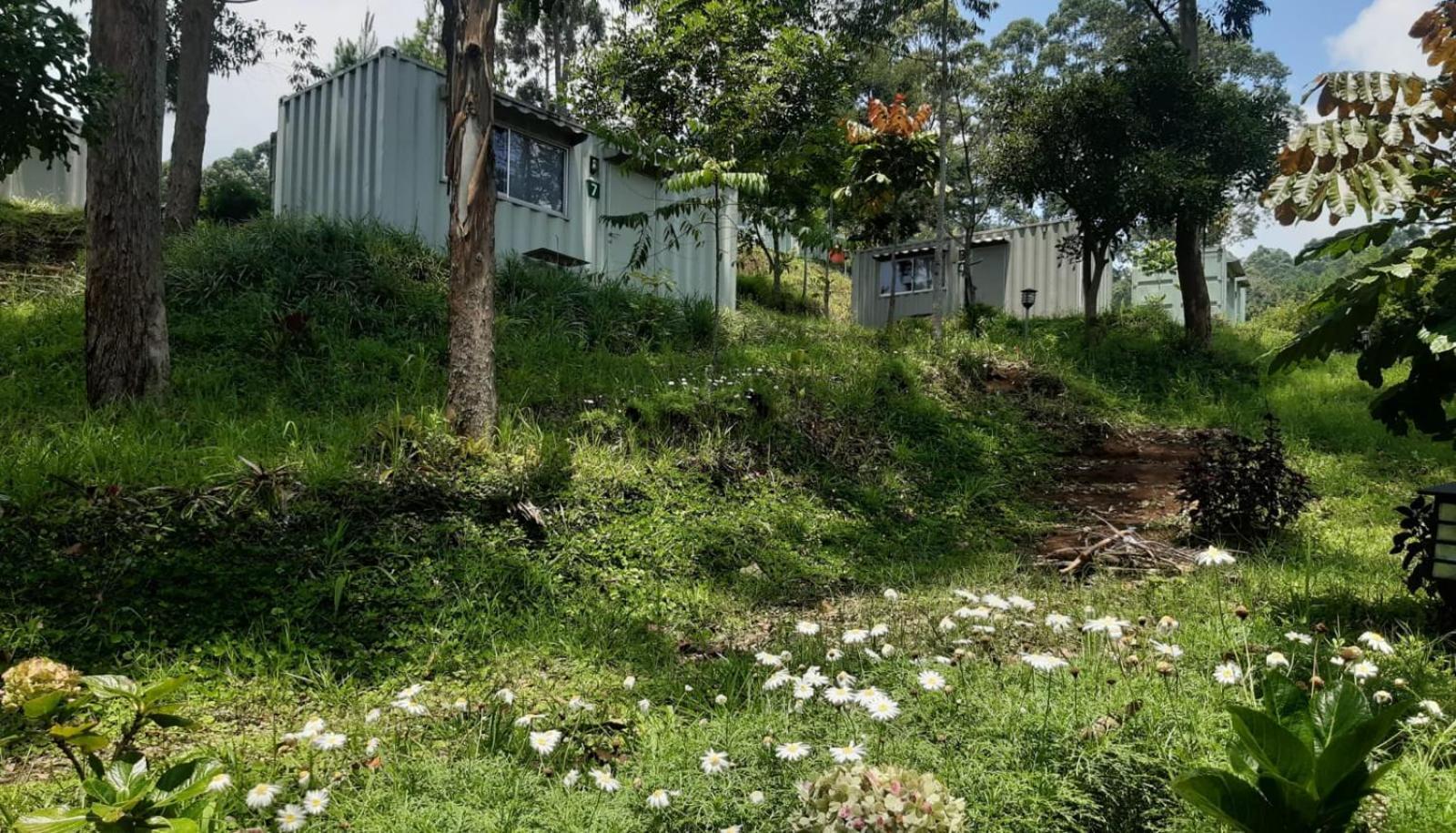 Hotel Bukit Pinus Tegalharendong 外观 照片